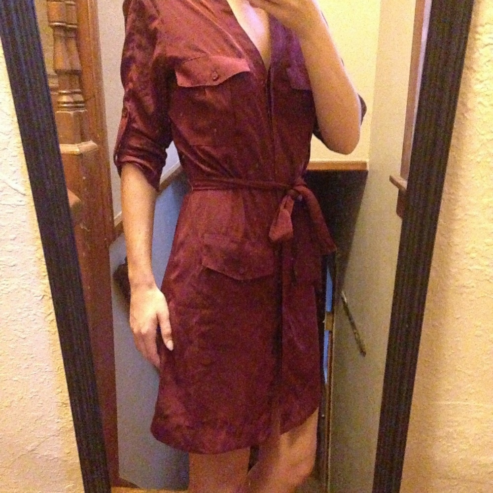 Button down shift dress - Picture 4 of 6